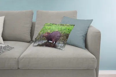 Produktbild von MuchoWow® Zierkissen Sofakissen Wohnzimmer Dekokissen 60x40 cm Ein Wasserschwein in einem Sumpfgebiet - Kopfkissen - Polster mit Foto
