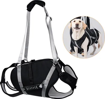 Produktbild von Hundehilfe Geschirr XL, atmungsaktiv, Verstellbare Reha-Tragehilfe, reflektierend, für Treppen & Auto