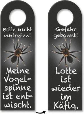 Produktbild von Bitte nicht eintreten oder Gefahr gebannt Türhänger mit Vogelspinne Motiv