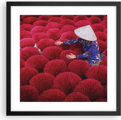 Produktbild von Gerahmtes Poster - Schwarzer Rahmen - Trocknen Weihrauch Vietnam - 40x40 cm - Wand Bild - Wanddeko - Wandbilder - Kunstposter - Wandposter - Bilderrahmen - Bilder - Kunstdruck - P2BAC40x40-4655