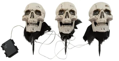 Productafbeelding van EUROPALMS Halloween schedels met aardespies, set van 3, 29 cm (83316122)