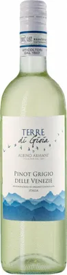Produktbild von Pinot Grigio Delle Venezie DOC 2024 Venetien | Italien | 13,0% vol | 0,75 l
