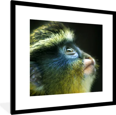 Produktbild von MuchoWow® MuchoWow® Gerahmtes Poster Affe - Gelb - Blau 40x40 cm - Poster mit zchwarzem Bilderrahmen - Poster - Plakat im Rahmen