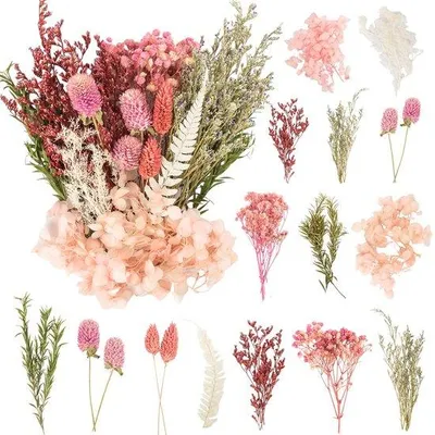 Productafbeelding van Azomor® Creatiefpakket met verschillende natuurlijke, gedroogde bloemen voor knutselprojecten