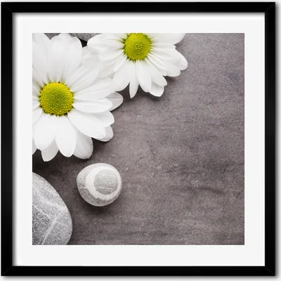 Produktbild von Bild - 50 cm x 50 cm - MDF - Rahmen, Wandkunst - Gerbera