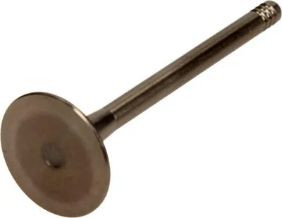 Produktbild von AMP PVWG086-S-0-N Einlassventil für VW Golf V Schrägheck (1K1) Ø29,2mm-Teller Ø6mm-Schaft