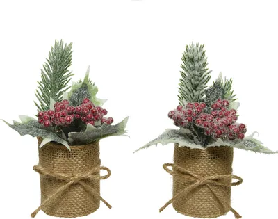 Produktbild von Tanne mit Stechpalme und Beeren im Jute Topf 15cm, 1 Stück sortiert
