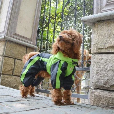 Productafbeelding van Regenjas voor honden - Waterdicht - Maat L-XL+ - Groen - Geschikt voor grote en zeer grote honden - met capuchon - voor honden met een ruglengte van 27-31 cm