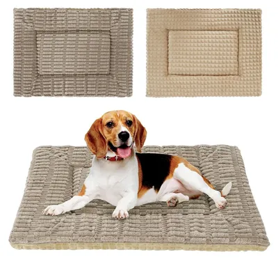 Produktbild von Omgoods – Hundebett aus Memory-Schaum, mit umkehrbarer und waschbarer Auflage