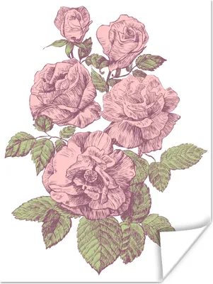 Produktbild von MuchoWow® Poster Blumen - Rosen - Vintage 90x120 cm - Wohnzimmer