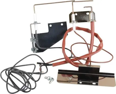 Image de Électrodes Allum+ionisa 060005