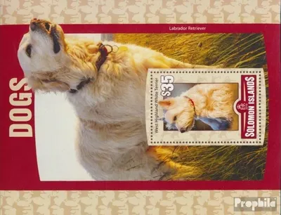 Produktbild von Briefmarken Salomoninseln 2016 Mi Block 501 (kompl. Ausg.) postfrisch Hunde