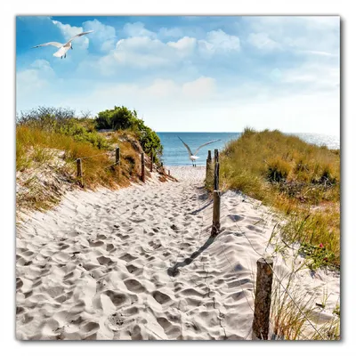 Produktbild von Wallario selbstklebende Möbelfolie/ Tischdecke für Innen und Außen, Größe: 70 x 70 cm - Möwen auf dem Weg zum Strand