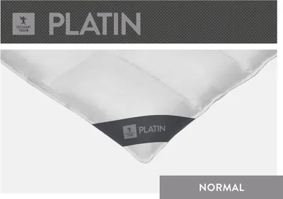 Produktbild von Spessarttraum Daunendecke Platin Füllung: 100% Gänsedaunen Bezug: 100% Baumwolle Größe 240 x 220  cm Wärmeklasse normal