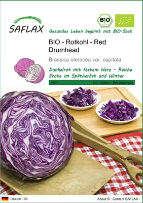 Produktbild von SAFLAX - BIO - Rotkohl - Red Drumhead - Brassica oleracea var. capitata - 250 Samen