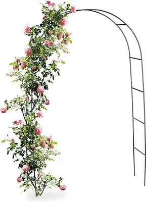 Produktbild von Famanu Gartenbogen Metall 240 x 140 x 37 cm - grün