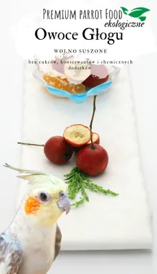 Produktbild von -Weißdornfrucht Für Papageien | Premium Snack & Nahrung, 50G