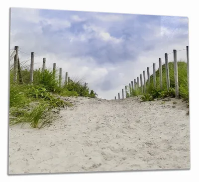 Produktbild von Wallario Herdabdeckplatte aus Glas, Größe 60 x 52 cm 1-teilig, Motiv Auf dem Weg zum Strand durch Dünen