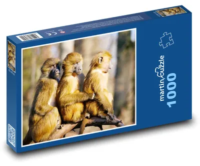 Obrázek produktu pro martinpuzzle - Puzzle 1000 - Opice - pavián