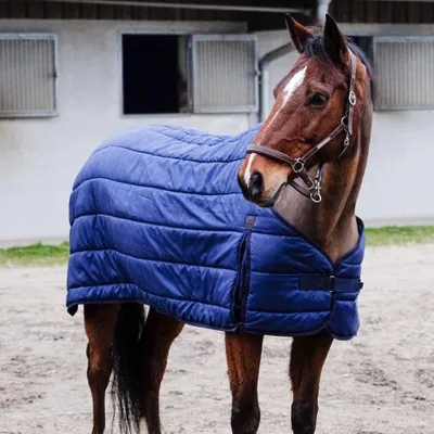 Produktbild von Equithème Unterdecke in Größe 6'3 - Classic Unterdecke 300g