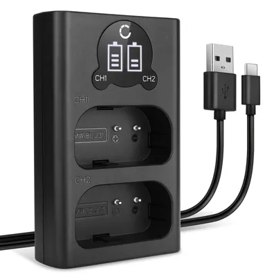 Image de CELLONIC Chargeur Double DMW-BLJ31 Smart et Rapide compatible avec Alimentation Dual DMW-BTC14E + Câble USB de Charge