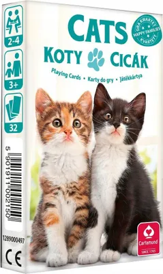 Produktbild von Katzen-Spielkarten 10008310