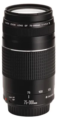 Produktbild von Canon EF - Telezoomobjektiv - 75 mm - 300 mm