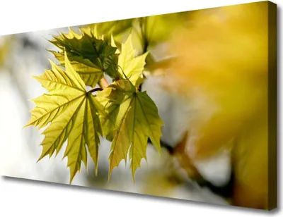 Produktbild von Tulup Leinwand-Bilder 100x50 Wandbild Canvas Kunstdruck Blätter Pflanzen