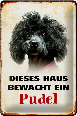 Produktbild von Blechschild Hund 20x30cm dieses Haus bewacht ein Pudel