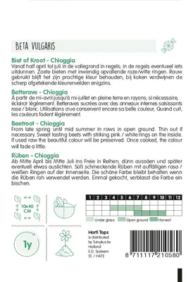 Produktbild von Rüben Chioggia | Rübensamen von Hortitops
