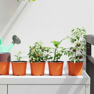 Produktbild von Maison Exclusive - Runder Blumentopf 50 pcs Terrakotta Ø 10 x 8 cm Kunststoff