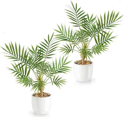 Zdjęcie produktu dla Sztuczna palma Areca zestaw 2 sztuk 35 cm - białe ceramiczne doniczki - sztuczne rośliny do wnętrz - sztuczne palmy - dekoracyjne sztuczne kwiaty