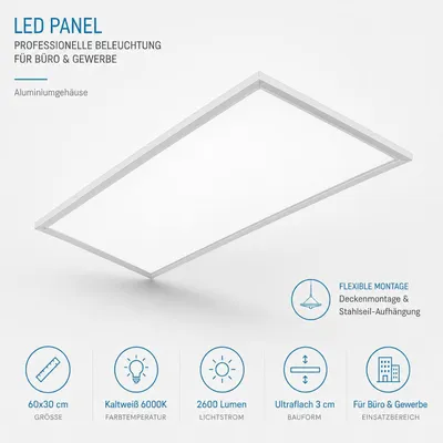 Produktbild von LED Panel 60x30cm Kaltweiß 6000K Deckenleuchte Bürolampe Gewerbe Alu 2600lm Ultraflach