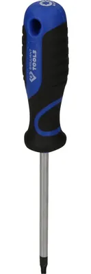 Image de BRILLIANT TOOLS  tournevis TORX  T25 -  BT034908