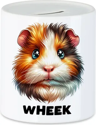 Produktbild von Wheek Meerschweinchen Spardose Haustier Meerschweinchen-Besitzer Nager