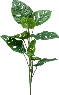 Produktbild von künstliches Monstera Affenblatt mit 8 Blättern H. 75cm Emerald Kunstblätter