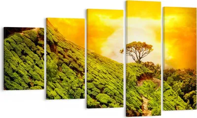 Produktbild von Bild auf Leinwand - Leinwandbild - Berg Baum Pfad Hügel - 100x60cm - Wand Bild - Wanddeko - Leinwanddruck - Bilder - Kunstdruck - Wanddekoration - Leinwand bilder - Wandkunst - EG100x60-2715