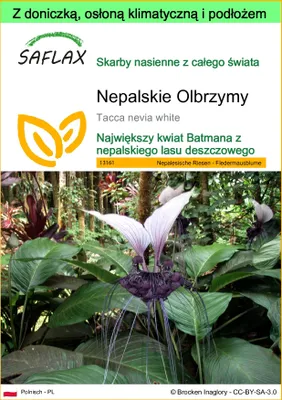 Zdjęcie produktu dla SAFLAX - Garden to go - Nepalskie Olbrzymy - 10 Nasiona - Z doniczką, pokrywą klimatyczną i podłożem do uprawy - Tacca nevia white