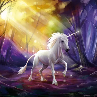 Produktbild von Einhörner Kunstdruck Bild - Das Einhorn Im Zauberwald (100 x 100 cm)