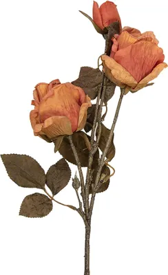 Immagine prodotto di Clayre & Eef Rosa artificiale 70 cm Arancione Plastica