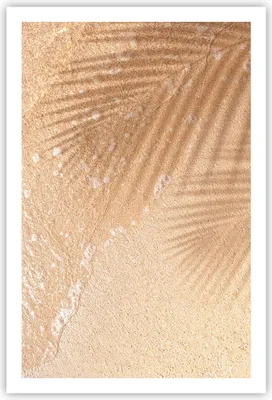 Produktbild von Poster - Poster ohne Rahmen - Sand Schatten Blätter - 61x91,5 cm - Wand Bild - Wanddeko - Wandbilder - Kunstposter - Wandposter - Bilder - Kunstdruck - Wanddekoration - Wandbild - P2XPA61x91-4580