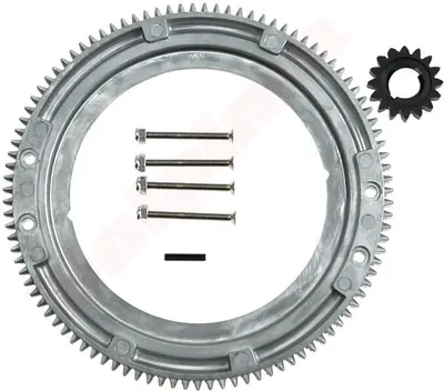 Immagine prodotto di Pignone per Briggs & Stratton ( 392134 , 399676 , 696537 )