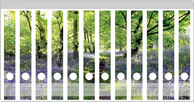 Produktbild von Wallario Ordnerrücken Sticker, selbstklebend für schmale Ordner, 12 Stück, Motiv Blaues Hasenglöckchen im Wald