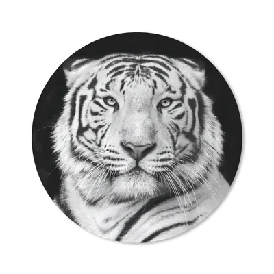 Produktbild von MuchoWow® Mauspad Mousepad Tiger - Schwarz - Weiß - Porträt - Tiere 20x20 cm - Mousepads - Maus Mat - Pad - Mausunterlage - Schreibtischmatte