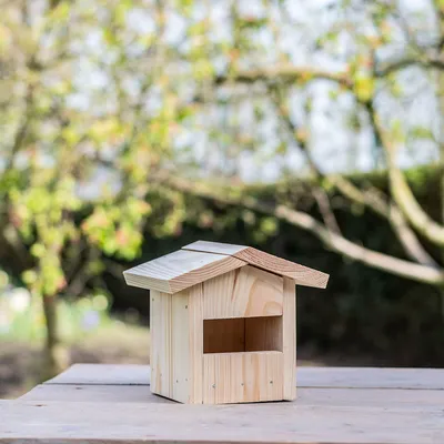 Produktbild von CJ Wildlife Nistkasten Bausatz - zum Selbstbauen - -es Holz, Braun - für Rotkehlchen & Zaunkönige - mit Aufhängehaken & Anleitung