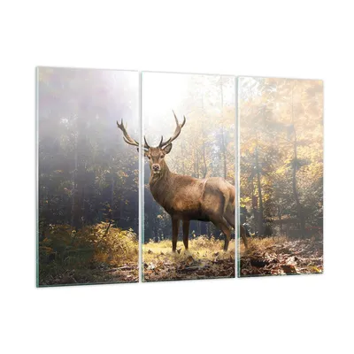 Produktbild von Bilder auf glas - 3 Teile - Licht Hirsch Wald - 165x110cm - Glasbilder - Wandbilder - Bilder - zum Aufhängen bereit - Wanddekoration aus Glas - Glas Bilder - Wandbild auf Glas - GCE165x110-4452
