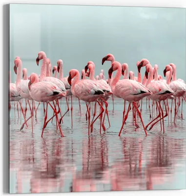 Produktbild von DEQORI Glasbild Echtglas 30x30 cm 'Rosa Reflexion' Wandbild Bild modern Deko