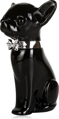 Productafbeelding van Jean-Pierre Sand Parfum Tekito, zwarte editie, 75 ml
