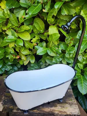 Produktbild von Pflanzschale Badewanne Emaille-Optik mit Brause, schwarz-weiss