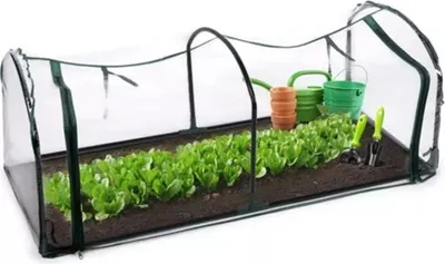 A small greenhouse with rows of lettuce growing inside, along with gardening tools and watering cans.